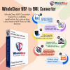 Copy of WholeClear NSF Converter (1).png