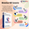 Copy of WholeClear NSF Converter (1).png